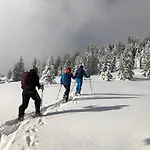 Hotel Hotel-garni Kalkbrennerhof Pfronten