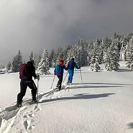 Hotel-garni Kalkbrennerhof 3* Pfronten